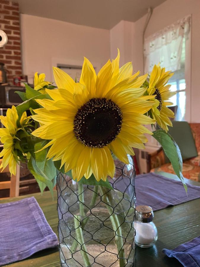 אמפייר The Cottonwood Inn B&B מראה חיצוני תמונה